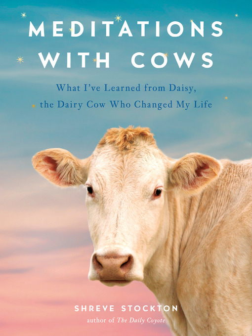 Cover image for Meditations with Cows